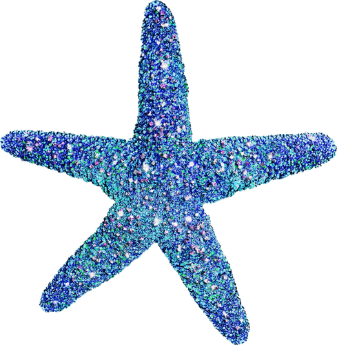 Starfish.Blue - фрее пнг