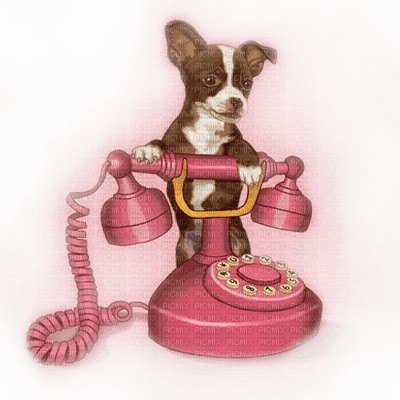 soave dog phone pink brown funny - PNG gratuit
