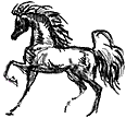 horse pinture - GIF animado gratis