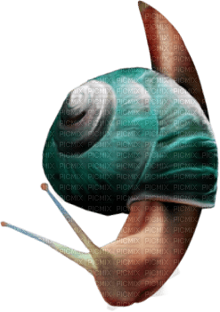 Kaz_Creations Snails Snail - 無料png