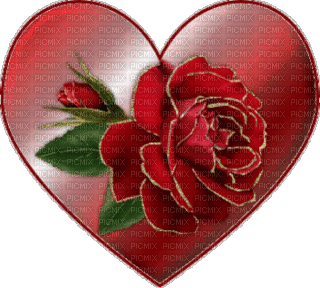 Herz Rose rot red rouge coeur heart - Darmowy animowany GIF