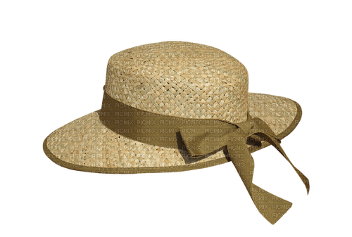 MMarcia chapéu palha  chapeau hat - 免费PNG