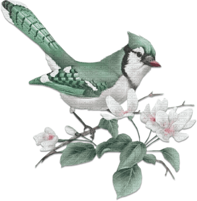 soave deco spring bird branch flowers pink green - PNG gratuit