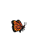 butterflies katrin - Ücretsiz animasyonlu GIF