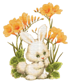 rabbit Nitsa Papacon - Gratis geanimeerde GIF