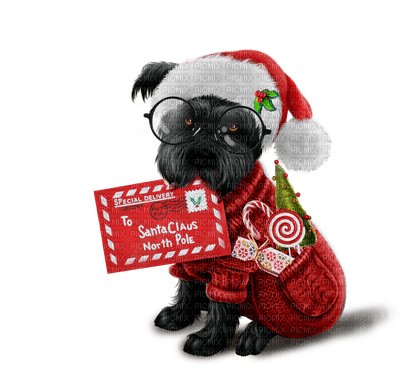 dog hund chien animal animals   christmas noel xmas weihnachten Navidad рождество natal  tube - besplatni png