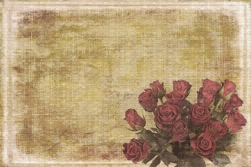 love texture background roses - безплатен png