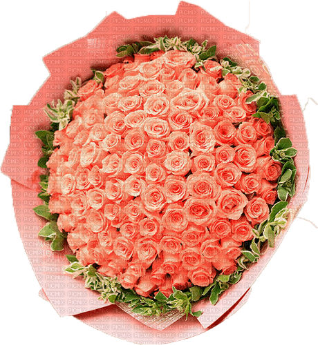 Y.A.M._Flowers bouquets - bezmaksas png