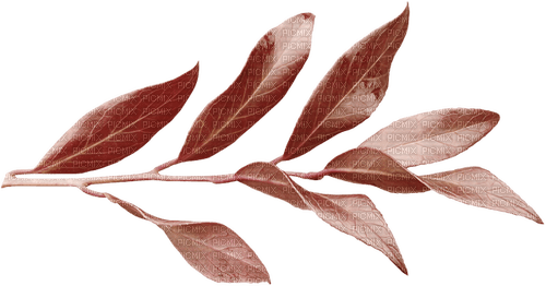 deco autumn leaves kikkapink brown red - png grátis