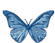 butterfly papillon schmetterling - Δωρεάν κινούμενο GIF