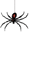 Spiders & Webs - Jitter.Bug.Girl - GIF เคลื่อนไหวฟรี