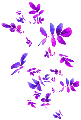Leaves.Purple.Pink.Blue - δωρεάν png