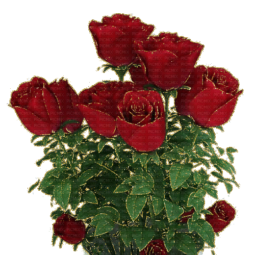 Red Roses.Fleurs.Flowers.gif.Victoriabea - GIF animé gratuit