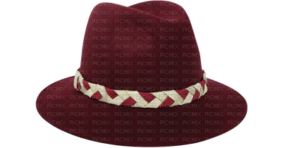 Kaz_Creations Hat Hats Fashion - PNG gratuit