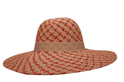 chapeau de plage.Cheyenne63 - png gratis