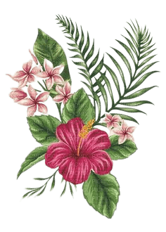 kikkapink deco summer tropical flowers - darmowe png