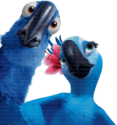 oiseau bleu - 無料png