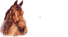 cheval - Ücretsiz animasyonlu GIF