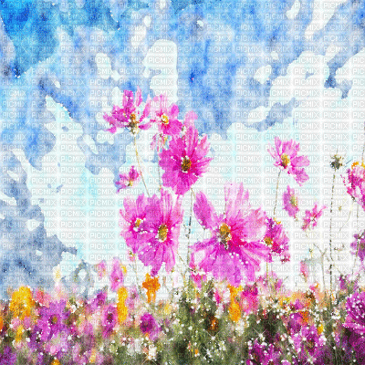 kikkapink background spring field flowers - Nemokamas animacinis gif