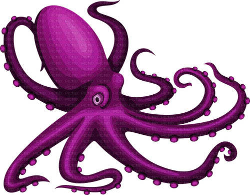 octopus Bb2 - Free PNG