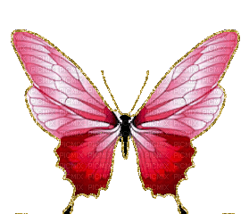 papillon - Бесплатни анимирани ГИФ