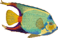 poisson - 免费动画 GIF