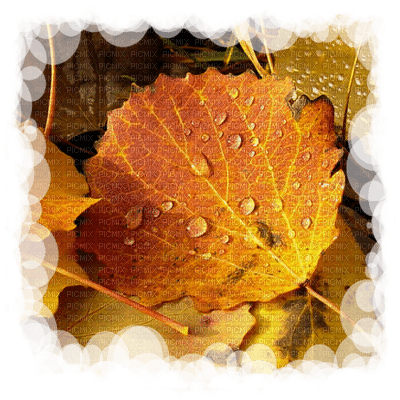 Kaz_Creations Autumn Paysage Scenery - ücretsiz png