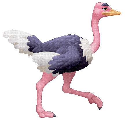 ostrich  by nataliplus - GIF animado gratis