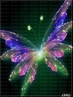 SPARKLE BUTTERFLY, butterfly , butterflies , glitter , sparkle , gif ,  flash - PicMix