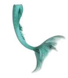 mermaid tail merenneito pyrstö - δωρεάν png