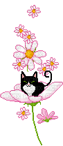 fleurs chat - GIF animado gratis