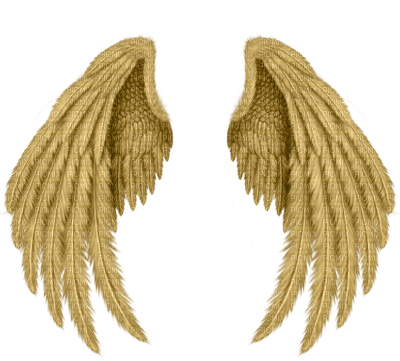 golden wings5- Nitsa - PNG gratuit