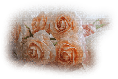 patymirabelle fleurs rose - png gratis