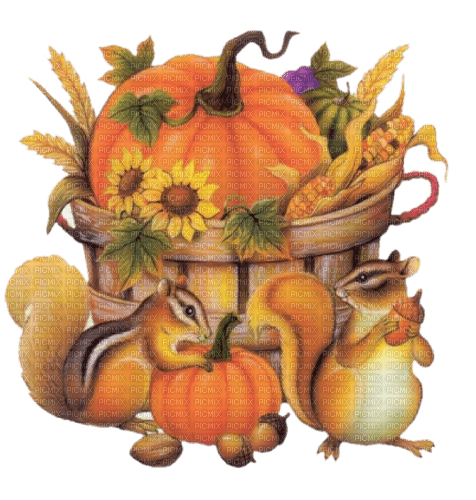 nbl-pumpkin - бесплатно png