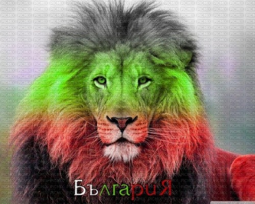 tricolour lion (🇧🇬) - zadarmo png