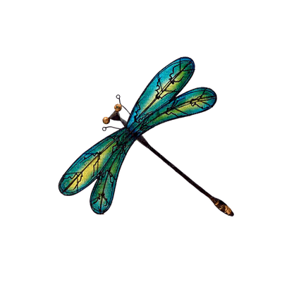 Dragonfly katrin - безплатен png