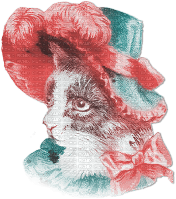 soave cat christmas winter animals deco hat - δωρεάν png