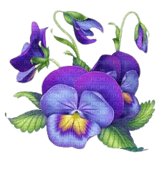 kikkapink deco summer flowers tropical - PNG gratuit
