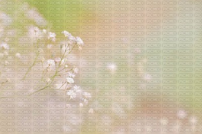 Kaz_Creations Deco  Flowers Backgrounds Background Colours - PNG gratuit