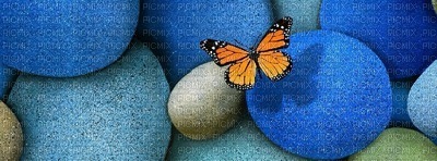 papillon - 免费PNG