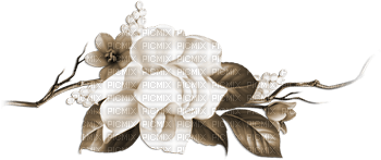 soave deco branch flowers rose sepia - PNG gratuit