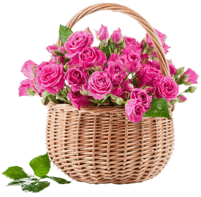 Roses basket - nemokama png
