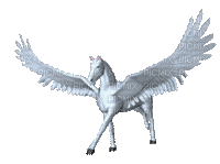 Nina white horse - GIF animado grátis