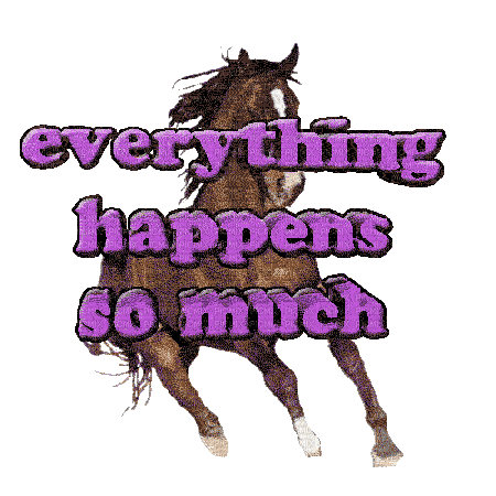 horse everything happens so much - Zdarma animovaný GIF