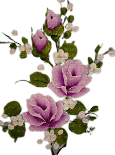 purple roses tube - δωρεάν png
