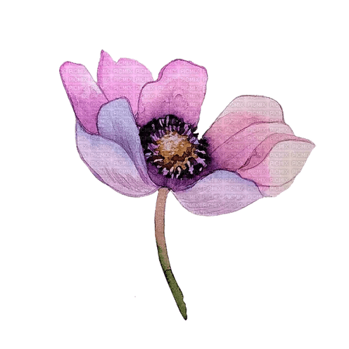 kikkapink deco flower purple - png ฟรี