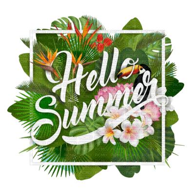 Kaz_Creations Logo Text Hello Summer - δωρεάν png
