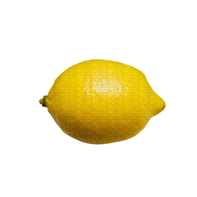 lemon fruit bp - Free PNG
