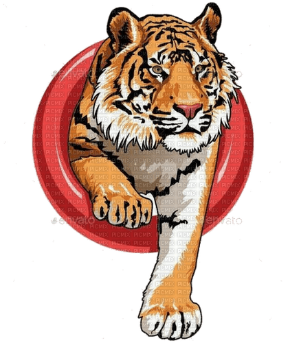 tigre - zadarmo png