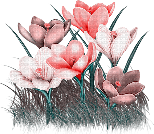 Y.A.M._Spring Flowers Decor - png ฟรี